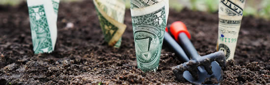 Gifts Grants Fees